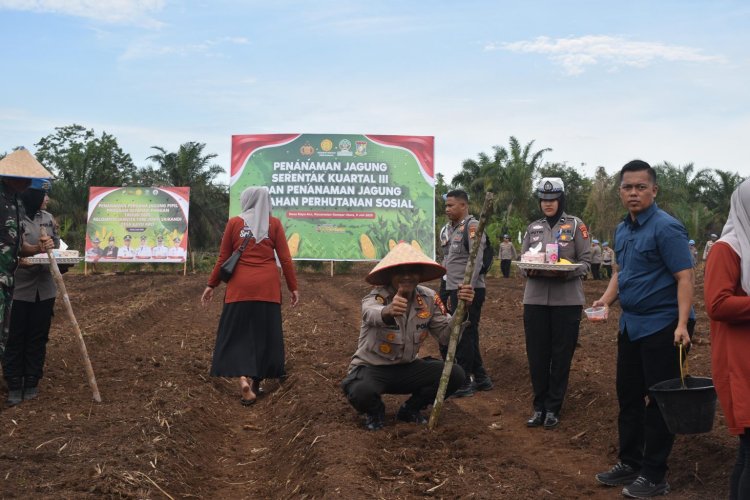 Dukung Ketahanan Pangan Nasional,Kapolres Kampar Laksanakan Penanaman Jagung Serentak