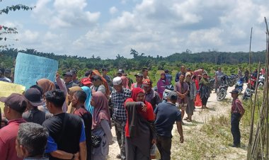Kelompok Tani 3 Desa Desak PT Agrinas Hentikan KSO Dengan Riau Jaya Makmur