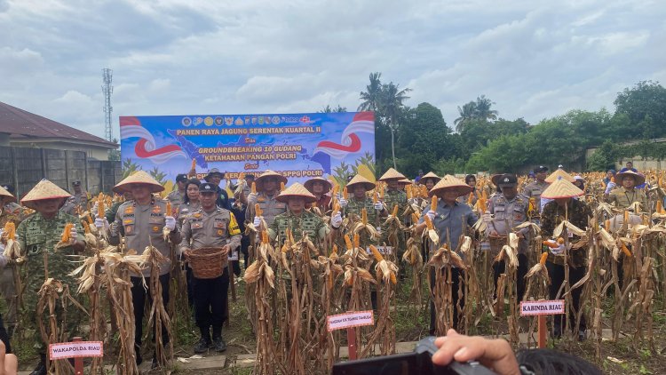 Dandim 0301/Pekanbaru Hadiri Panen Raya Jagung Serentak Kuartal II Tahun 2026