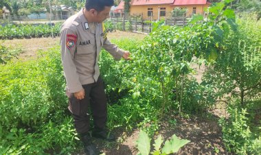 Kapolsek Singingi Terus Gencarkan Program Ketahanan Pangan