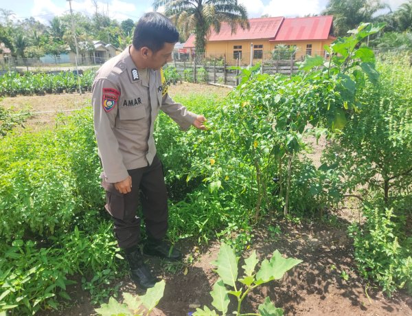 Kapolsek Singingi Terus Gencarkan Program Ketahanan Pangan