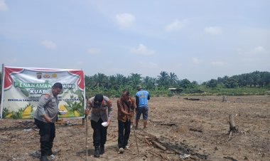 Polsek Kampar Kiri Kembali Tanam Jagung Kuartal III,Bentuk Nyata Sukseskan Asta Cita Presiden Prabowo